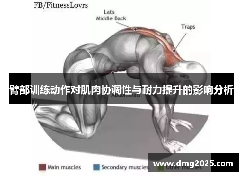 臂部训练动作对肌肉协调性与耐力提升的影响分析